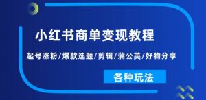 小红书商单变现教程:起号涨粉/爆款选题/剪辑/蒲公英/好物分享/各种玩法-葛仙仙资源库