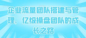 企业流量团队搭建与管理,亿级操盘团队的成长之路-葛仙仙资源库