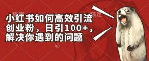 小红书如何高效引流创业粉，日引100+，解决你遇到的问题【揭秘】-葛仙仙资源库