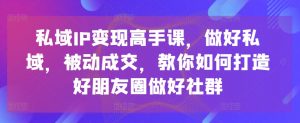 私域IP变现高手课,做好私域,被动成交,教你如何打造好朋友圈做好社群-葛仙仙资源库