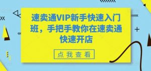 速卖通VIP新手快速入门班,手把手教你在速卖通快速开店-葛仙仙资源库