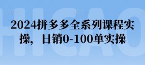 2024拼多多全系列课程实操，日销0-100单实操【必看】-葛仙仙资源库
