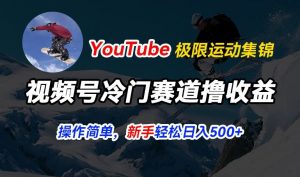 视频号冷门赛道撸收益，YouTube搬运极限运动集锦，暴力起号，操作简单流量高，轻松日入5张【揭秘】-葛仙仙资源库