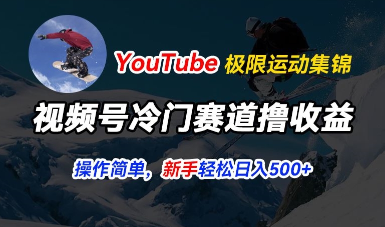 视频号冷门赛道撸收益，YouTube搬运极限运动集锦，暴力起号，操作简单流量高，轻松日入5张【揭秘】-葛仙仙资源库