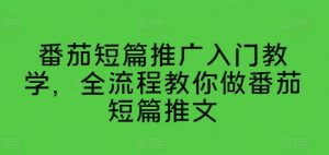 番茄短篇推广入门教学，全流程教你做番茄短篇推文-葛仙仙资源库