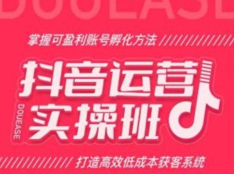 抖音运营实操班，掌握可盈利账号孵化方法，打造高效低成本获客系统-葛仙仙资源库