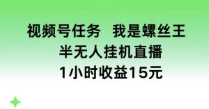 视频号任务,我是螺丝王, 半无人挂机1小时收益15元【揭秘】-葛仙仙资源库