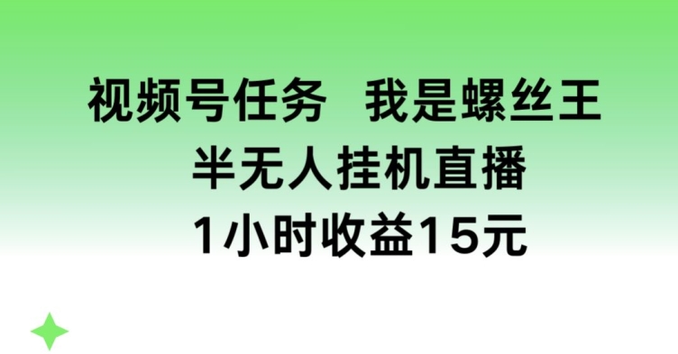视频号任务，我是螺丝王， 半无人挂机1小时收益15元【揭秘】-葛仙仙资源库