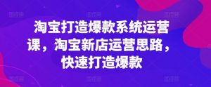 淘宝打造爆款系统运营课,淘宝新店运营思路,快速打造爆款-葛仙仙资源库