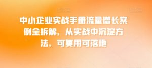 中小企业实战手册流量增长案例全拆解,从实战中沉淀方法,可复用可落地-葛仙仙资源库