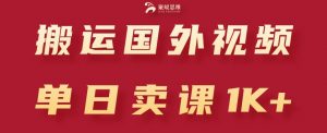 搬运国外视频,引流创业粉,单日卖课1K+【揭秘】-葛仙仙资源库