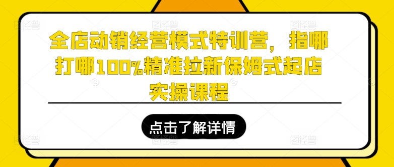 全店动销经营模式特训营，指哪打哪100%精准拉新保姆式起店实操课程-葛仙仙资源库