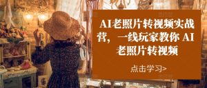 AI老照片转视频实战营,一线玩家教你AI老照片转视频-葛仙仙资源库