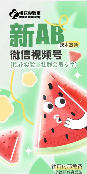 梅花实验室2024年AB技术视频号AB合成破解版-葛仙仙资源库