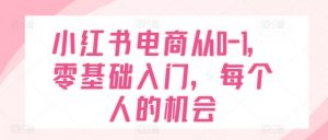 小红书电商从0-1,零基础入门,每个人的机会-葛仙仙资源库