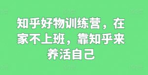 知乎好物训练营,在家不上班,靠知乎来养活自己-葛仙仙资源库
