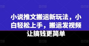 小说推文搬运新玩法，小白轻松上手，搬运发视频让搞钱更简单-葛仙仙资源库