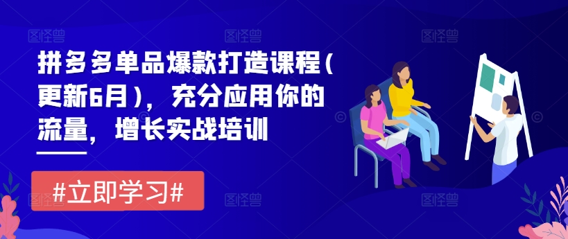 拼多多单品爆款打造课程(更新6月)，充分应用你的流量，增长实战培训-葛仙仙资源库