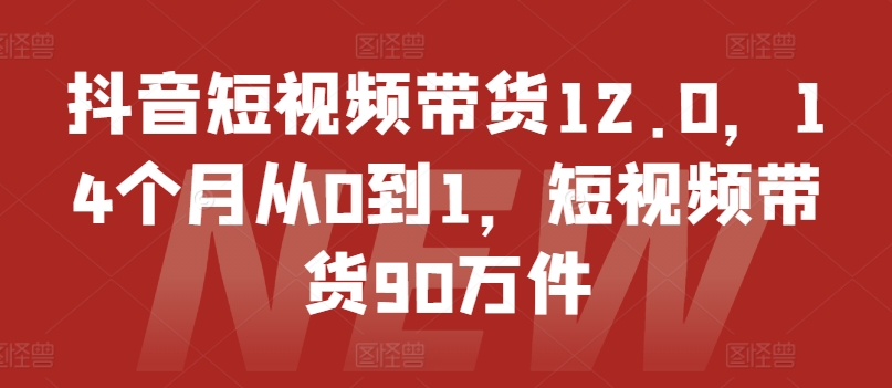 抖音短视频带货12.0，14个月从0到1，短视频带货90万件-葛仙仙资源库