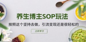 养生博主SOP玩法，按照这个坚持去做，引流变现还是很轻松的-葛仙仙资源库