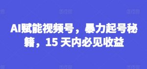 AI赋能视频号，暴力起号秘籍，15 天内必见收益【揭秘】-葛仙仙资源库