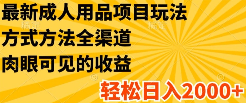 最新成人用品项目玩法，方式方法全渠道，轻松日入2K+【揭秘】-葛仙仙资源库