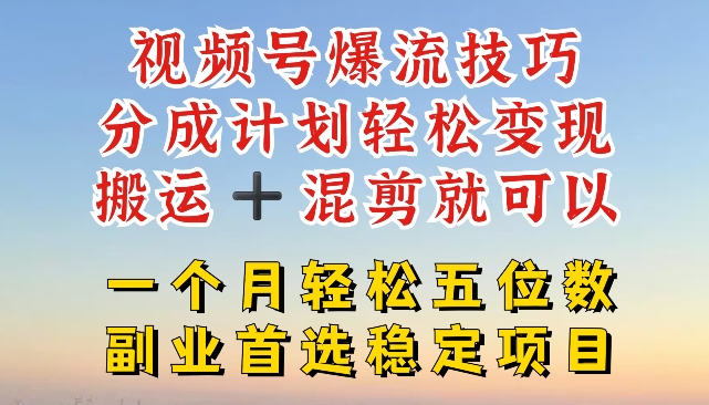 视频号爆流技巧，分成计划轻松变现，搬运 +混剪就可以，一个月轻松五位数稳定项目【揭秘】-葛仙仙资源库