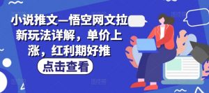 小说推文—悟空网文拉新玩法详解,单价上涨,红利期好推-葛仙仙资源库