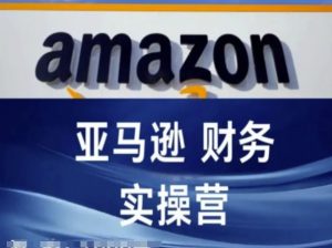 亚马逊财务核算实操营-亚马逊跨境电商教程-葛仙仙资源库