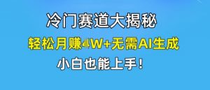 冷门赛道大揭秘,轻松月赚1W+无需AI生成,小白也能上手【揭秘】-葛仙仙资源库