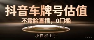抖音车牌号估值,不露脸直播,0门槛,小白秒上手【揭秘】-葛仙仙资源库
