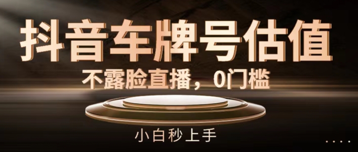 抖音车牌号估值，不露脸直播，0门槛，小白秒上手【揭秘】-葛仙仙资源库