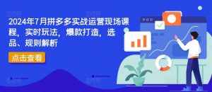 2024年7月拼多多实战运营现场课程,实时玩法,爆款打造,选品、规则解析-葛仙仙资源库