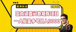 国内调查问卷矩阵项目,一人批量多号月入3000【揭秘】-葛仙仙资源库