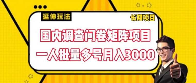 国内调查问卷矩阵项目，一人批量多号月入3000【揭秘】-葛仙仙资源库