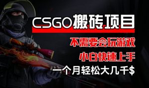 CSGO 装备搬砖项目,操作简单,不需要会玩游戏,小白也能快速上手,一个月轻松大几千【揭秘】-葛仙仙资源库