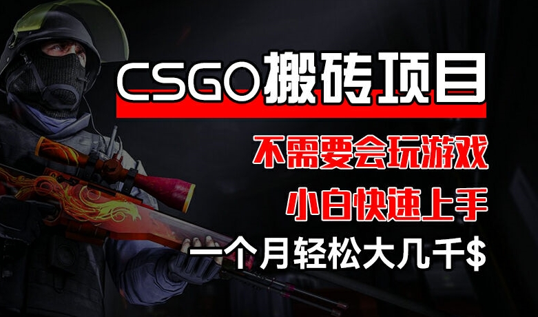 CSGO 装备搬砖项目，操作简单，不需要会玩游戏，小白也能快速上手，一个月轻松大几千【揭秘】-葛仙仙资源库