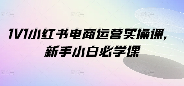 1V1小红书电商运营实操课，新手小白必学课-葛仙仙资源库