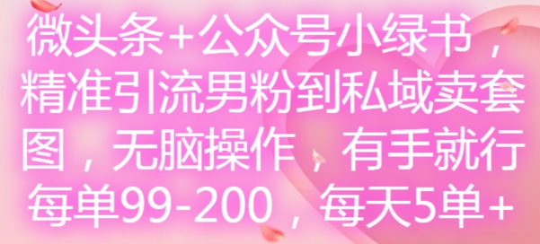 微头条+公众号小绿书，精准引流男粉到私域卖套图，无脑操作，有手就行，每单99-200，每天5单-葛仙仙资源库