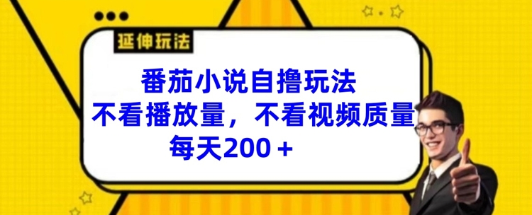 番茄小说自撸玩法，不看播放量，不看视频质量，每天200+【揭秘】-葛仙仙资源库