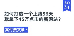 某付费文章《如何打造一个上线56天就拿下45万点击的新网站?》-葛仙仙资源库