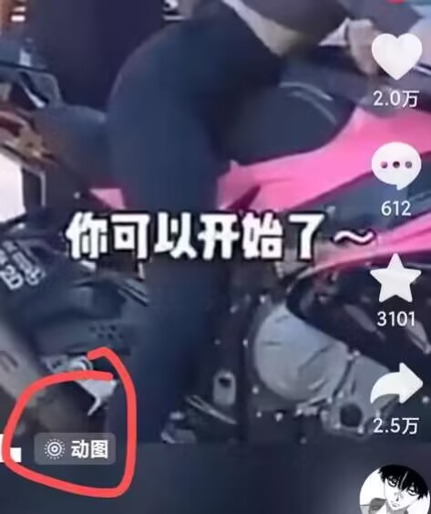2024年7月苹果手机动图搬运技术-葛仙仙资源库