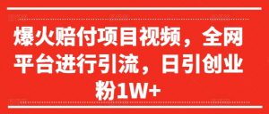 爆火赔付项目视频,全网平台进行引流,日引创业粉1W+【揭秘】-葛仙仙资源库