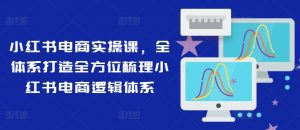 小红书电商实操课,全体系打造全方位梳理小红书电商逻辑体系-葛仙仙资源库