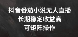 抖音番茄小说无人直播,长期稳定收益高,可矩阵操作【揭秘】-葛仙仙资源库