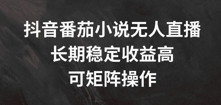 抖音番茄小说无人直播，长期稳定收益高，可矩阵操作【揭秘】-葛仙仙资源库