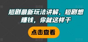 短剧最新玩法讲解,短剧想赚钱,你就这样干-葛仙仙资源库