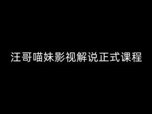 汪哥影视解说正式课程:剪映/PR教学/视解说剪辑5大黄金法则/全流程剪辑7把利器等等-葛仙仙资源库