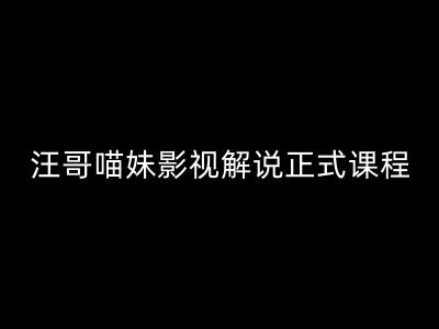 汪哥影视解说正式课程：剪映/PR教学/视解说剪辑5大黄金法则/全流程剪辑7把利器等等-葛仙仙资源库