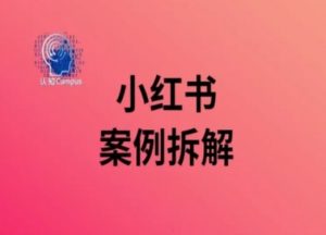 小红书案例拆解,深度解读小红书40万粉-葛仙仙资源库